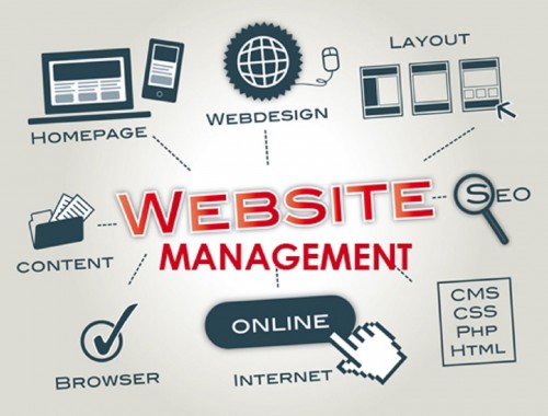 Quản lý website hiệu quả với những kỹ năng cần thiết cho webmaster